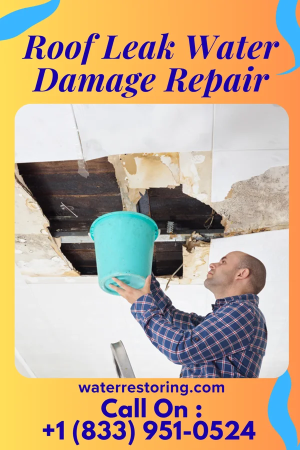 Roof Leak Water Damage Repair in Talihina, OK