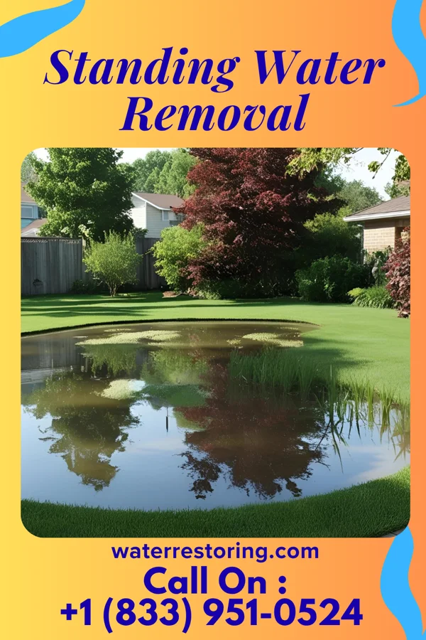 Standing Water Removal in Talihina, OK
